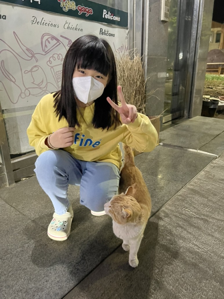 고양이 간택 고양이 7