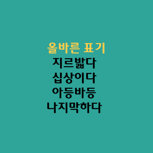  올바른 표기/지르밟다 십상이다 쩨쩨하다 아등바등 나지막하다