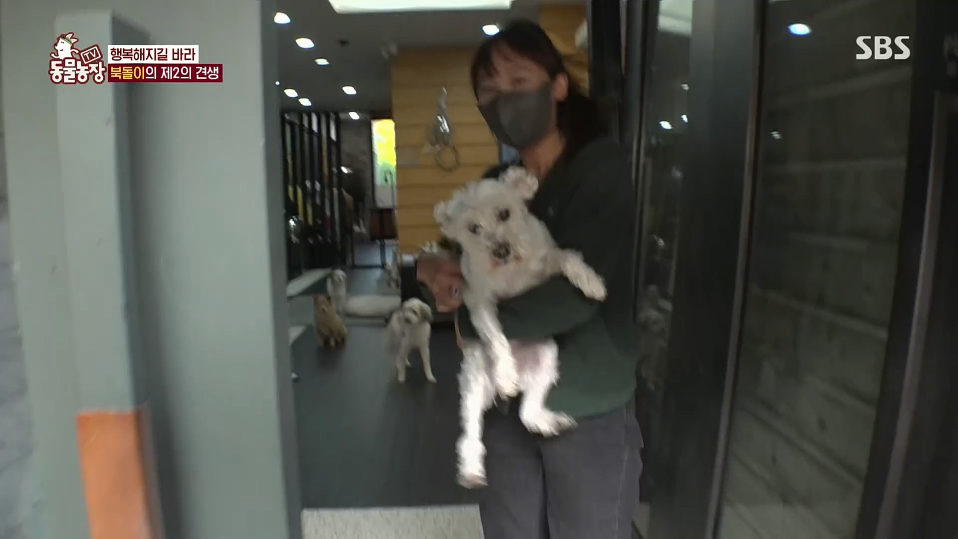 TV 동물농장.E1098.221204p.H264-F1RST.mp4_20221204_175421.574.jpg