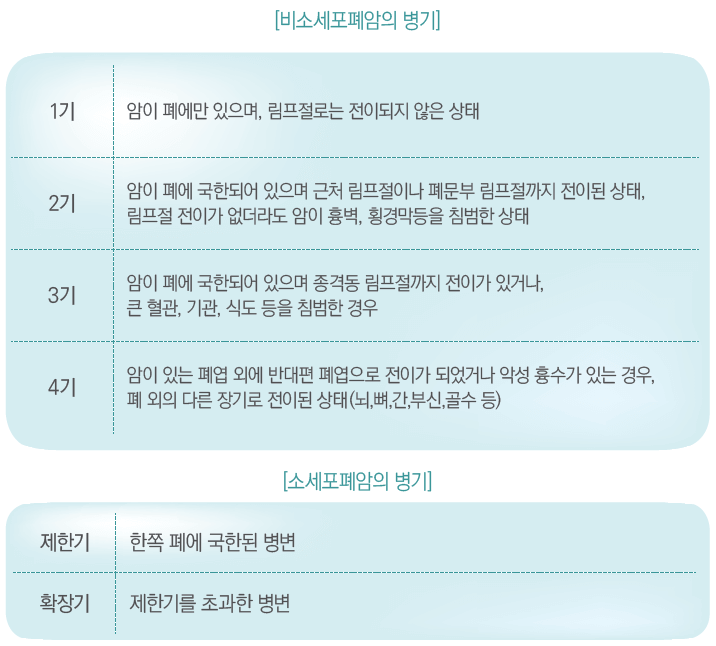  폐암 초기증상 (원인 및 치료법)