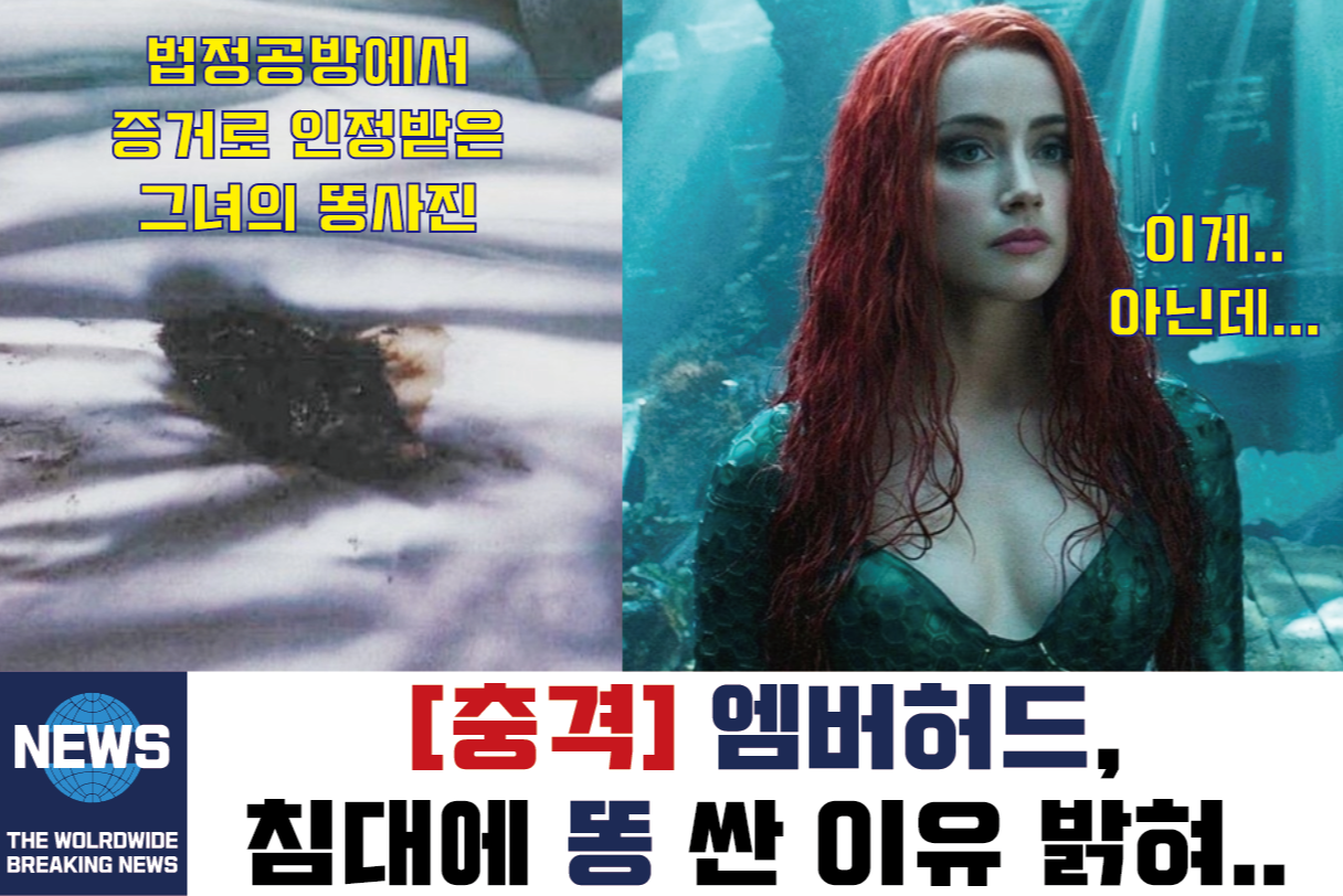  메라 앰버허드, 조니댑과 분쟁에서 패소 (특별 까메오 - 로켓맨 일론머스크)