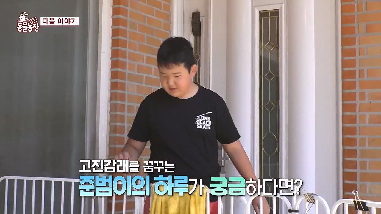 TV 동물농장.E1178.240630.ts_20240630_164655.996.jpg