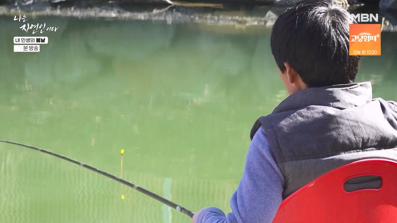 나는 자연인이다.E599.240328p-NEXT.mp4_20240328_195837.003.jpg