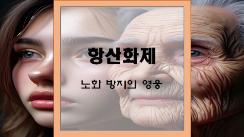 항산화제