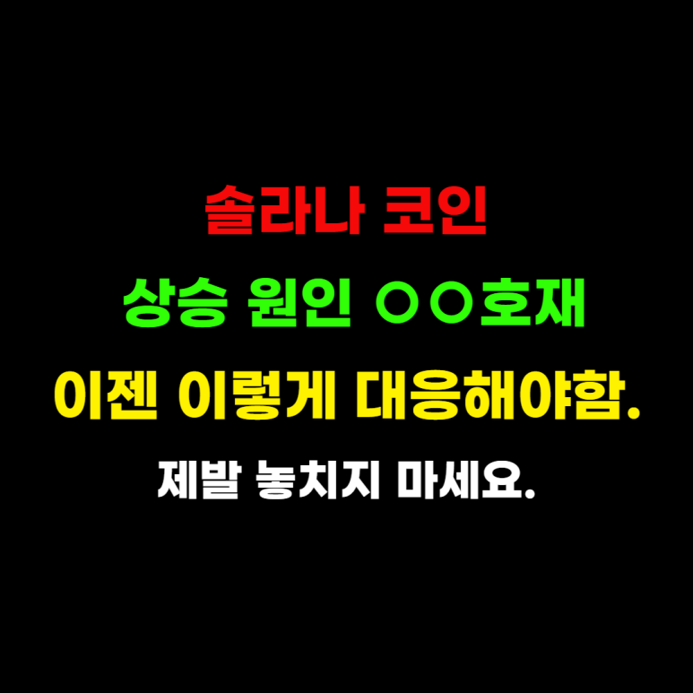 솔라나 코인 시세 전망 분석