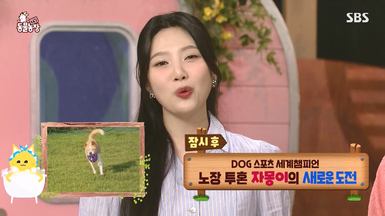 TV 동물농장.E1135.230828p-NEXT.mp4_20230827_180803.983.jpg