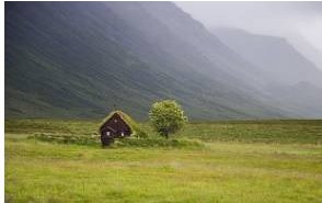 img.jpg