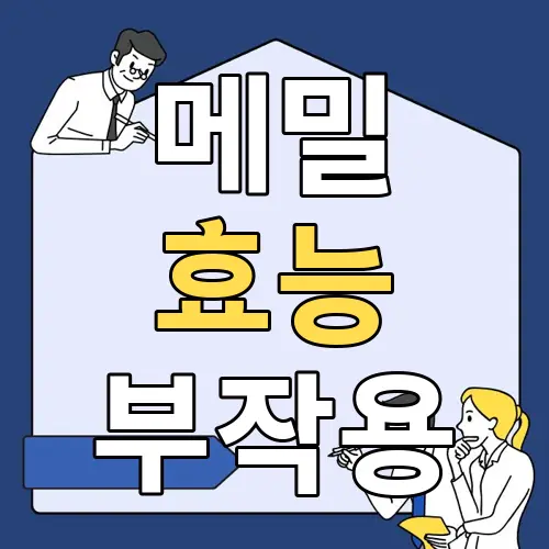 메밀 효능