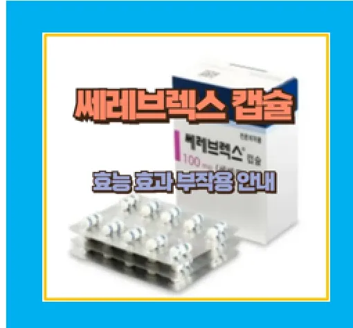 쎄레브렉스캡슐 100 I 200mg 리뷰