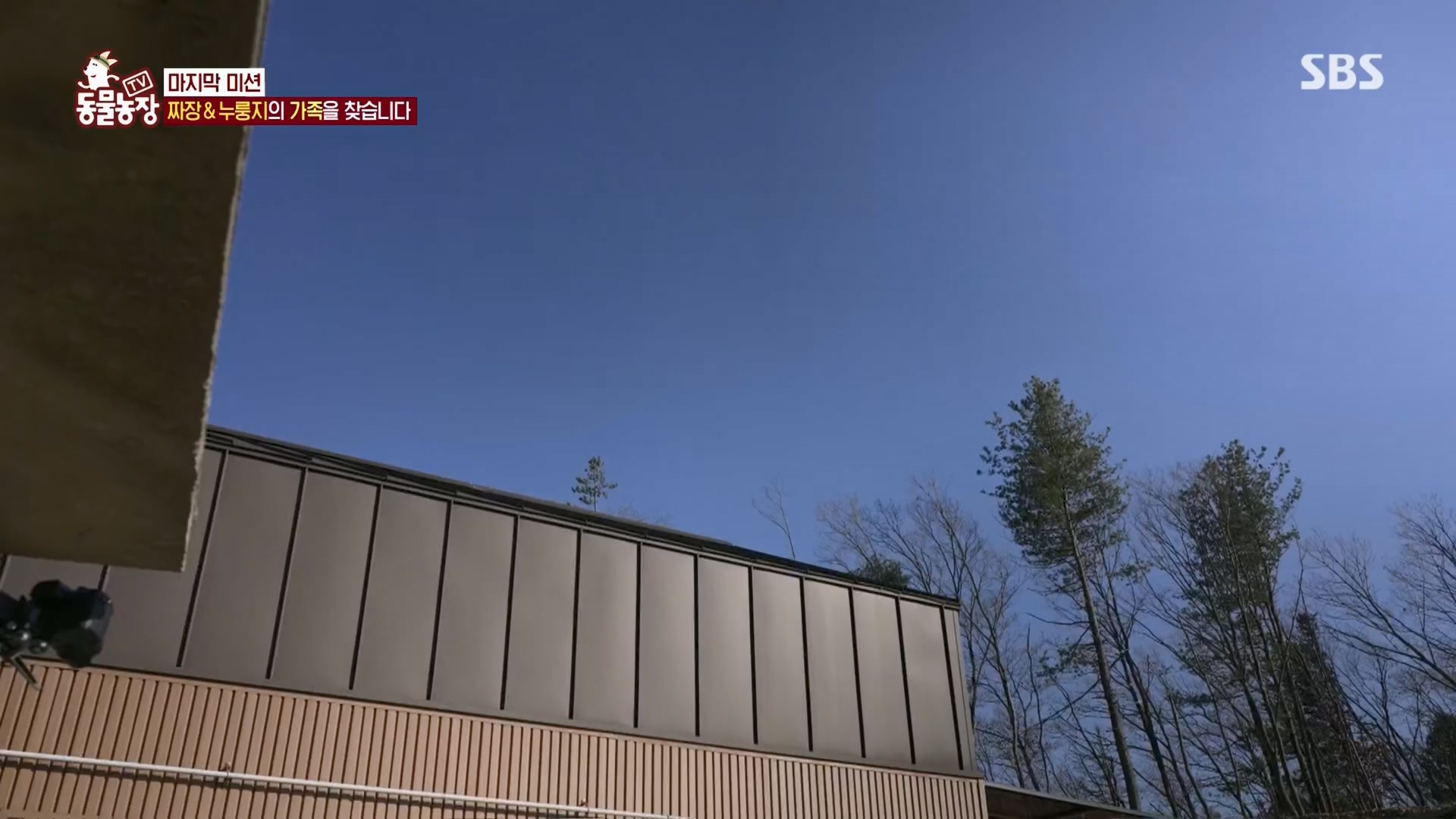 TV 동물농장.E1148.231203p.H264-F1RST.mp4_20231203_181445.164.jpg