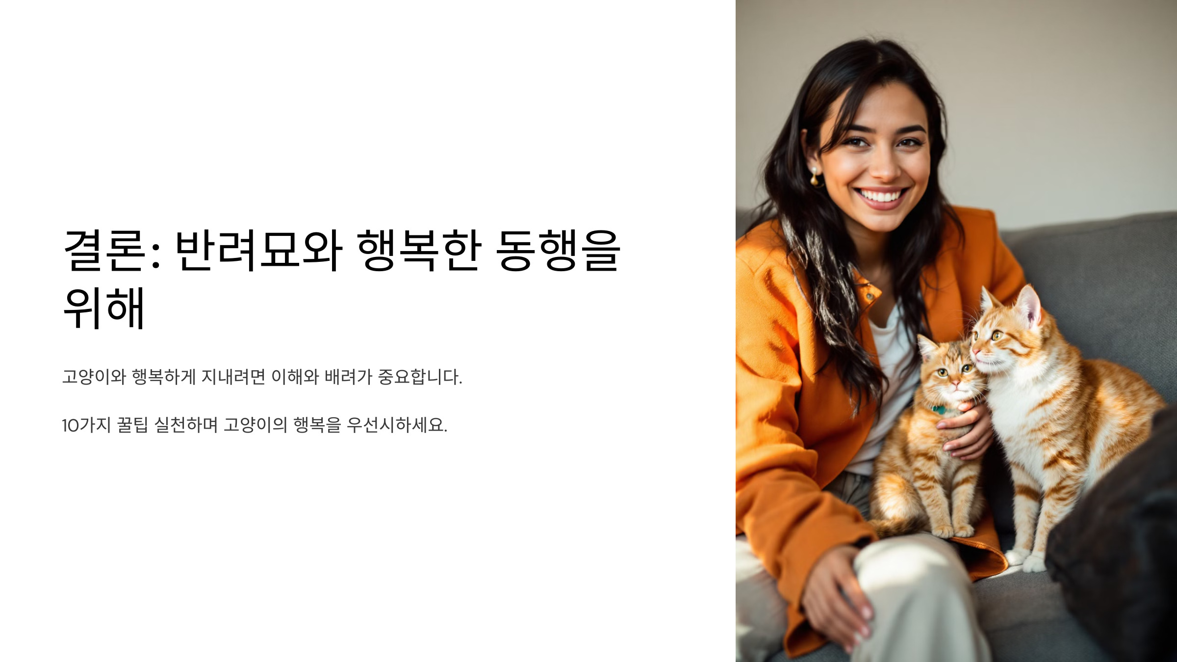 🏁 결론: 반려묘와 행복한 동행을 위해