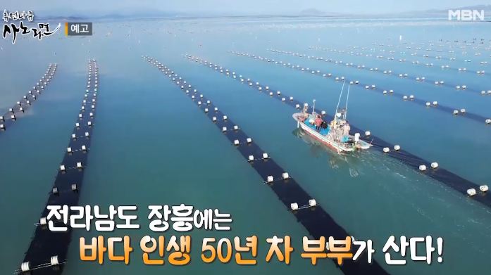  휴먼다큐 사노라면  장흥 물김 무산김 택배 쇼핑몰