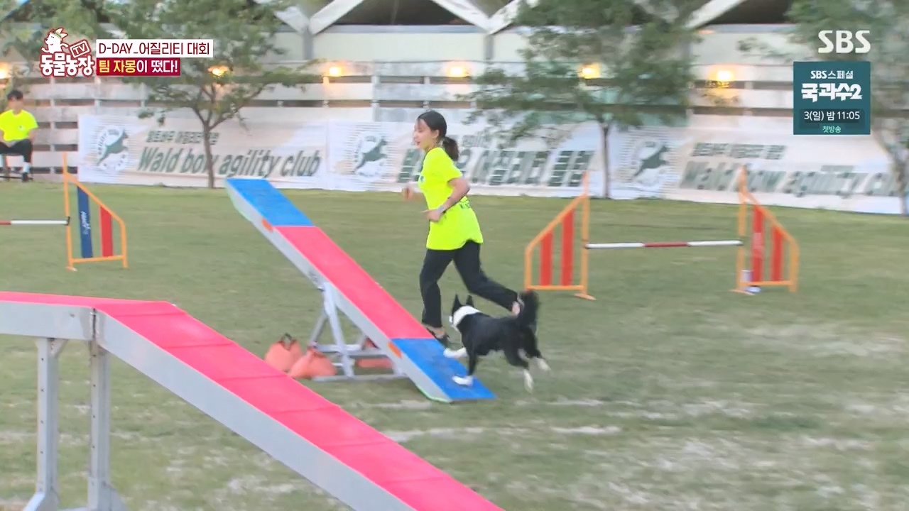 TV 동물농장.E1135.230828p-NEXT.mp4_20230827_180812.154.jpg