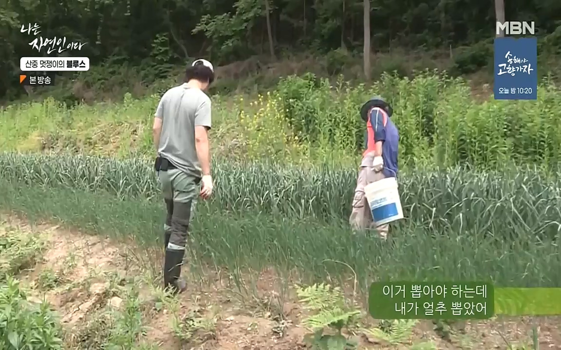 나는 자연인이다.E505.220609p-NEXT.mp4_20220609_200149.245.jpg