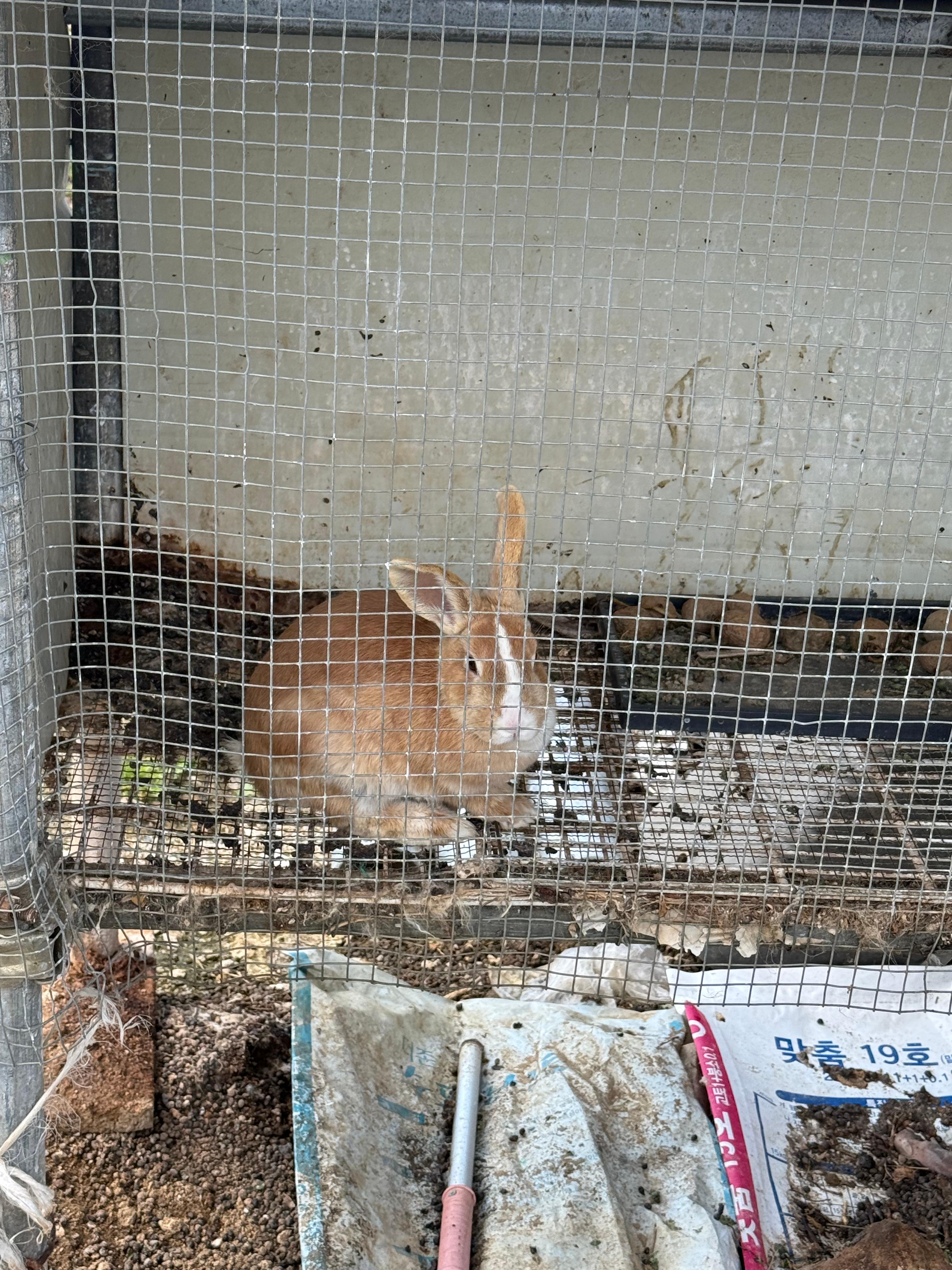 두학촌촌두부맛집 이미지