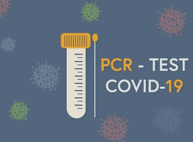 베트남 다낭 여행 입국 후 코로나 PCR 검사