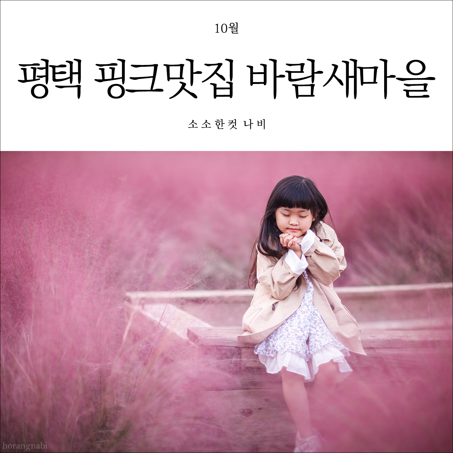 (주)가나관광 이미지