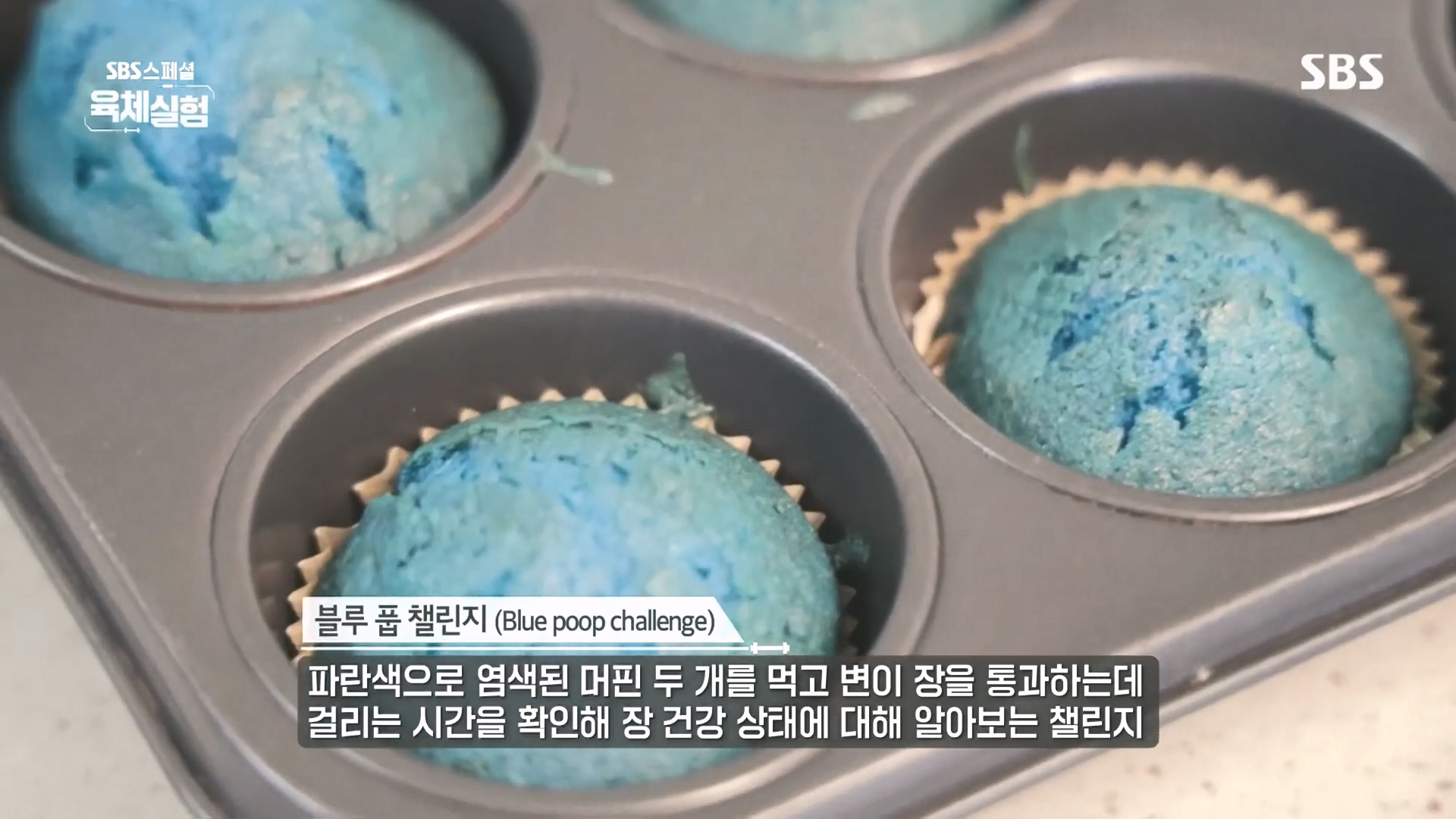 SBS 스페셜.E655.231015p.H264-F1RST.mp4_20231016_202042.985.jpg