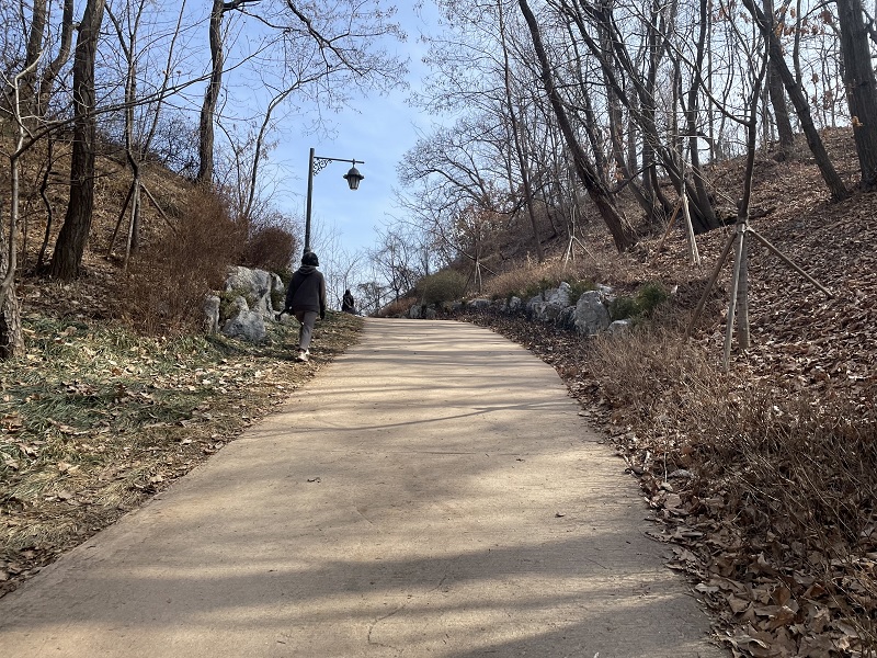 서리풀공원 가는 길