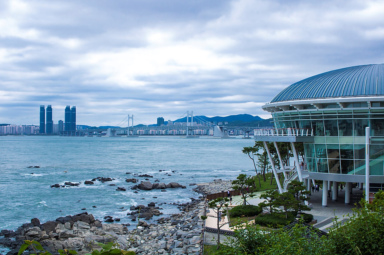동백섬 사진