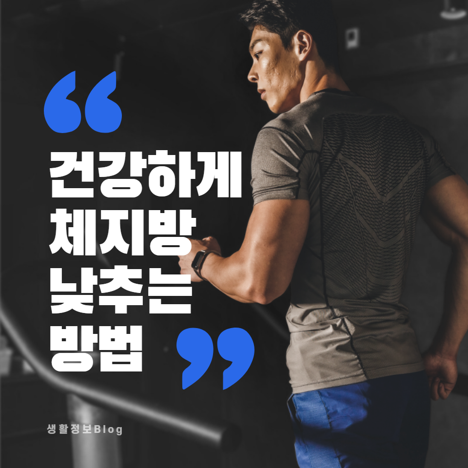 영양식&#44; 운동&#44; 수면 및 스트레스 관리를 통해 체지방을 효과적으로 줄이는 방법을 알아보세요. 건강한 체중 관리의 핵심 요소들을 이해하고&#44; 일상에서 적용할 수 있는 실용적인 팁과 전략을 배워보세요