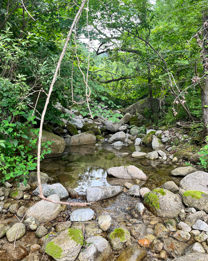 경북-성주-금바우펜션-계곡