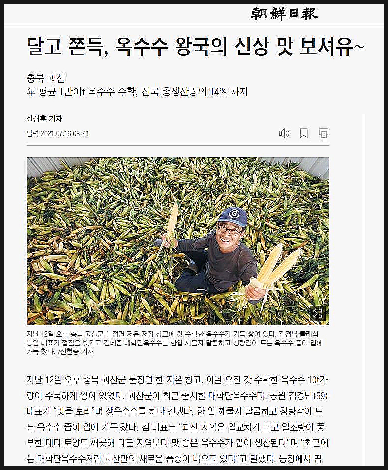 옥수수와 옥수수 가루 추억 // 손자에게 보내는 편지 (제375호) 7
