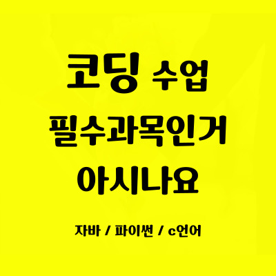  석사동 중학생 코딩 후평동 초등학생 코딩배우기 일대일 자바스크립트 파이썬 사고력 집중력 향상 방학특강