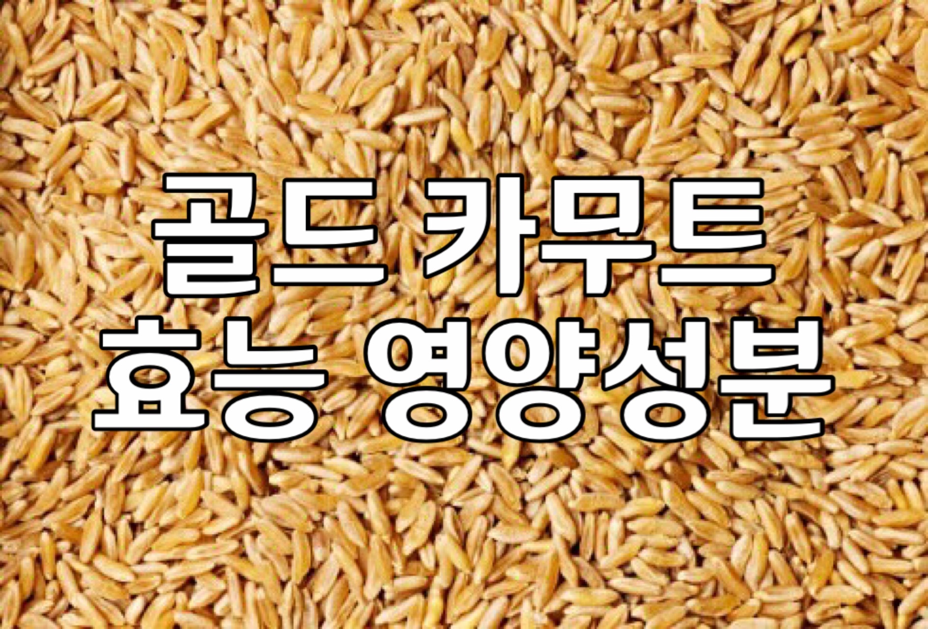 골드-카무트-쌀
