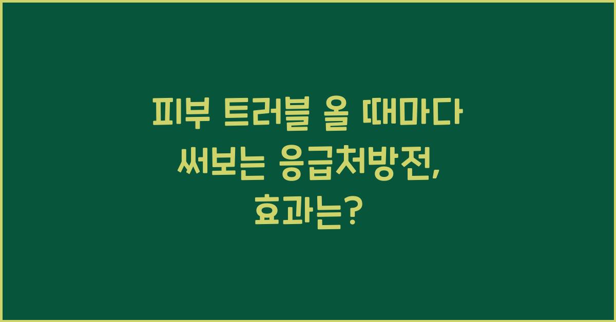 피부 트러블 올 때마다 써보는 응급처방전