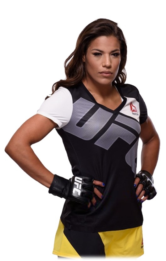 UFC 경기일정