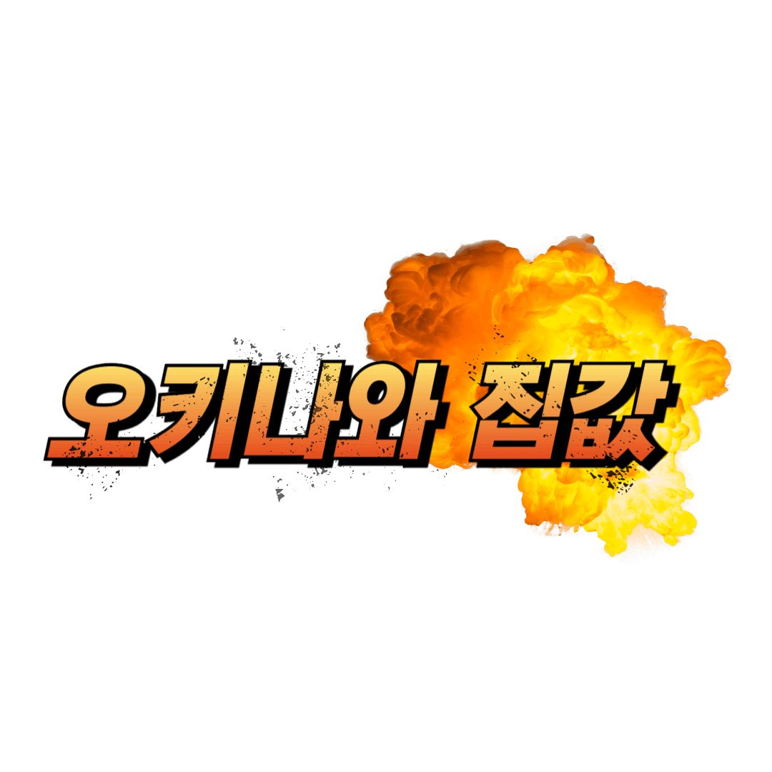 오키나와 집값