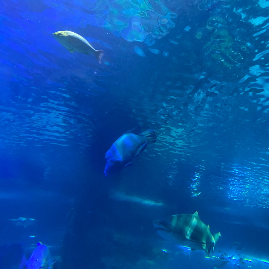 부산mbc뉴스 부산 15