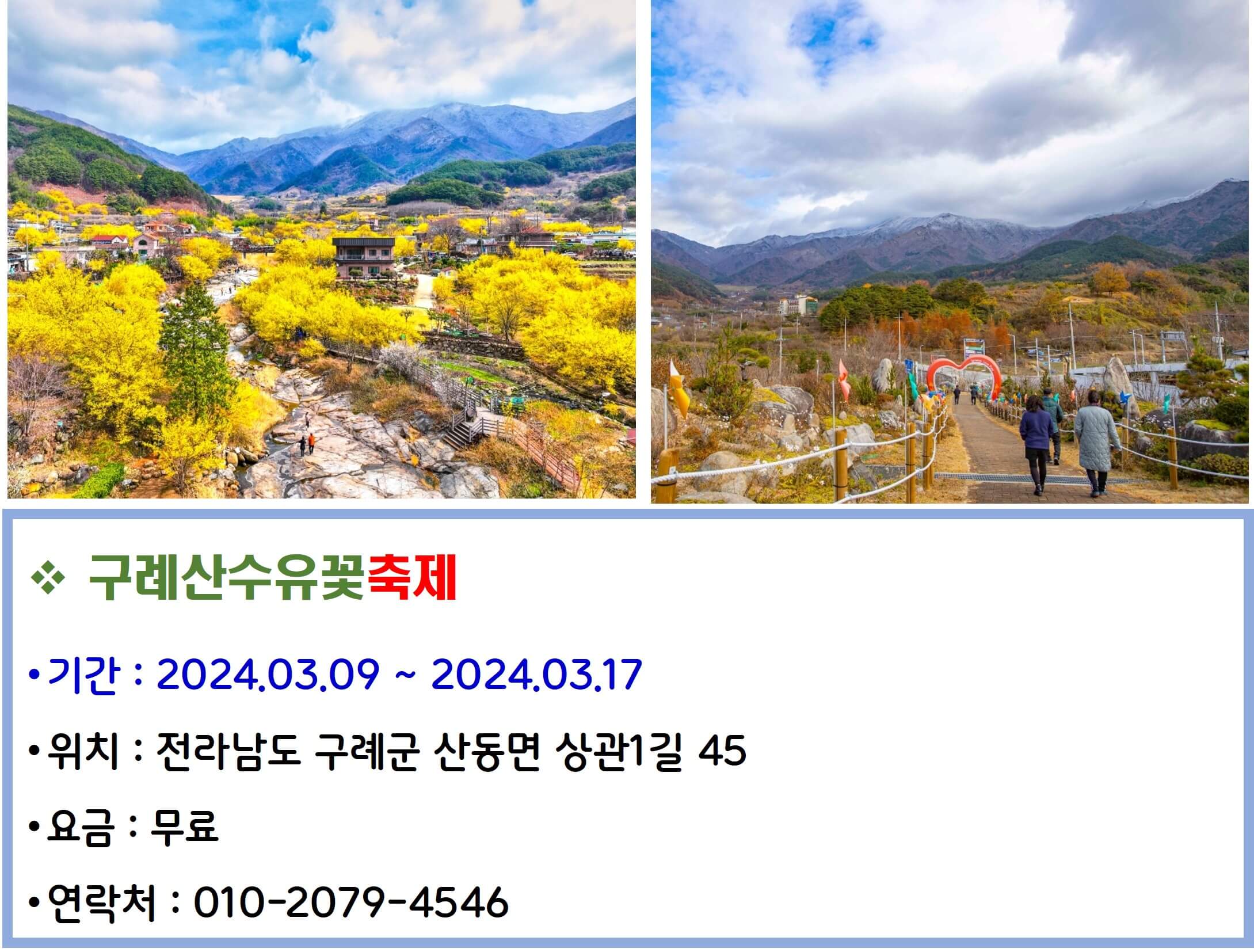 구례산수유꽃축제