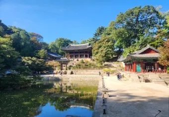 5월 창덕궁 응봉산 수도권 꽃구경 10선_11