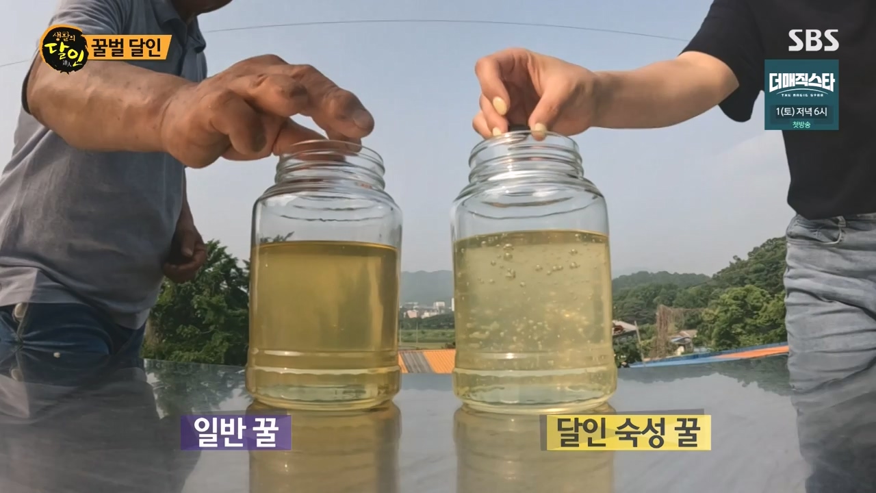 생활의 달인.E937.240528p-NEXT.mp4_20240528_195600.538.jpg