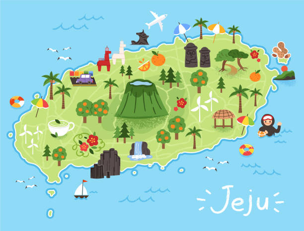  제주도 여행 후 찐 추천! 제주 렌트카 가격비교 및 추천