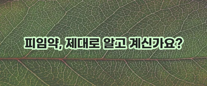 경구피임약 효과 시간 복용법 부작용 확실히 알아볼까요?