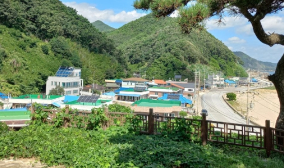 신안바다 이미지