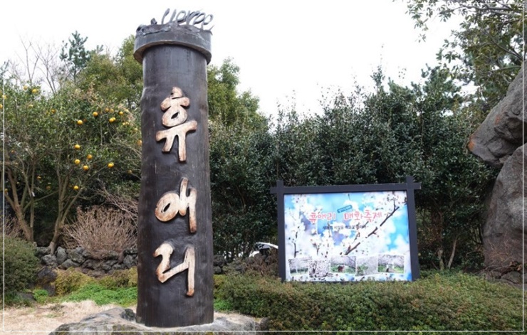  제주 봄날 여행 가기 좋은 휴애리 자연생활공원
