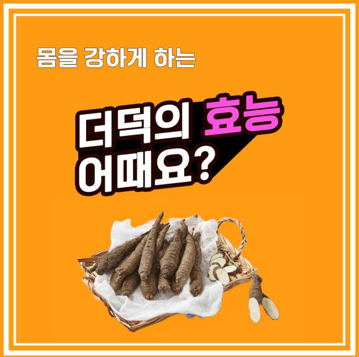  더덕의 효능, 효과는? 더덕은 몸을 강하게 해요! 더덕의 효능과 부작용은?