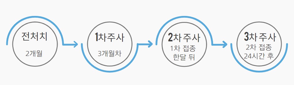 강아지 심장사상충 약물치료 진행 절차