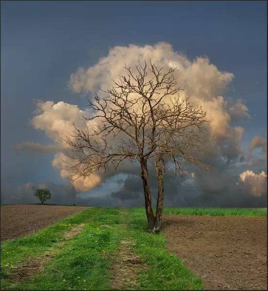 img.jpg