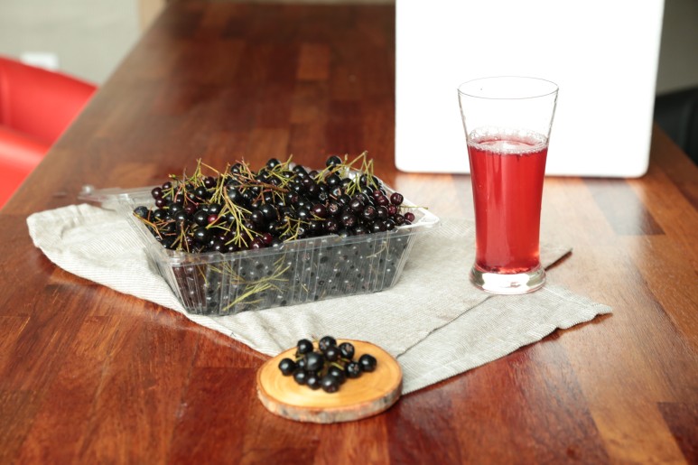 효능소개 아로니아 1