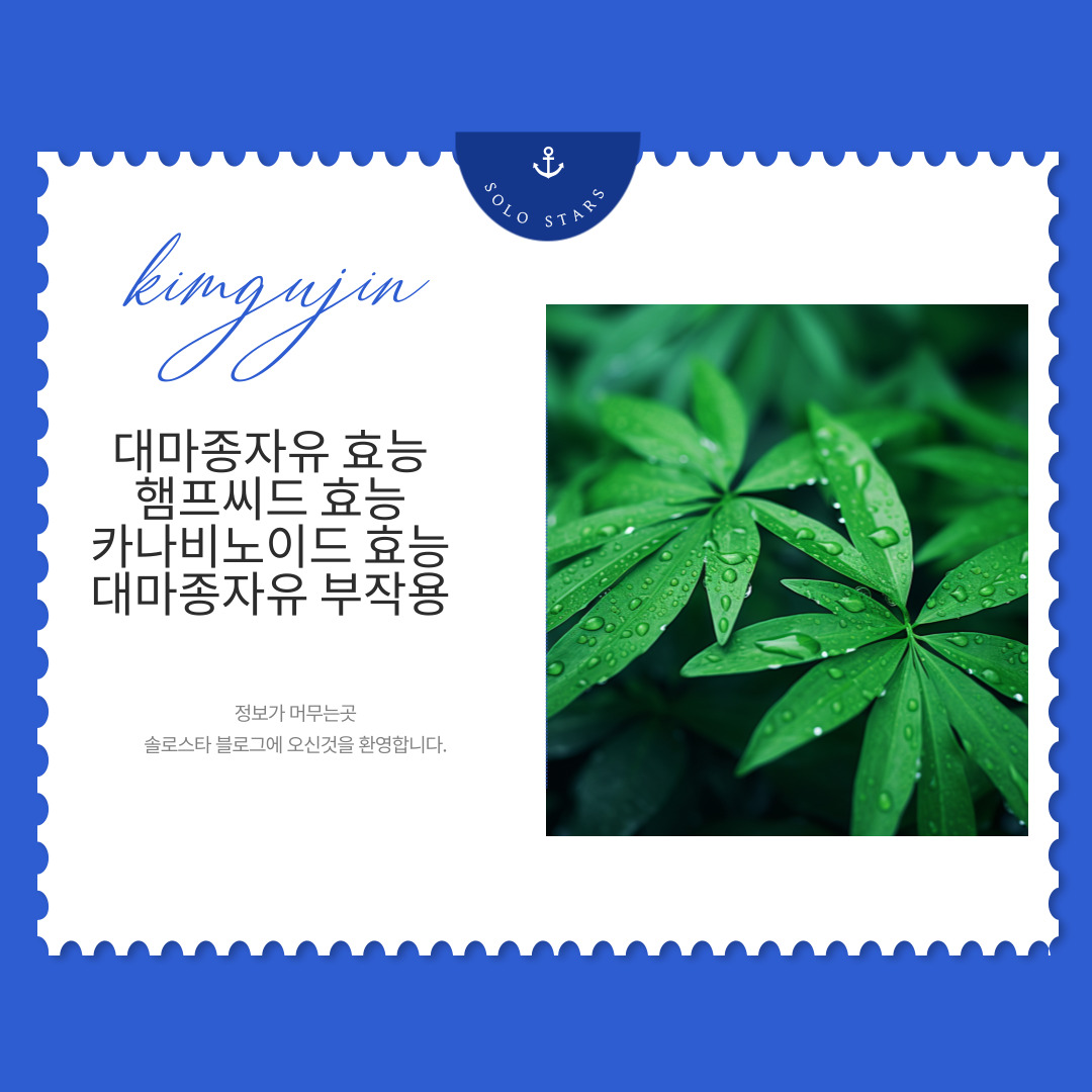 대마 사진