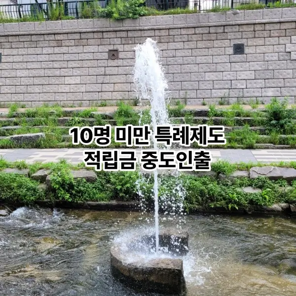 10명 미만을 사용하는 사업에 대한 특례제도의 적립금 중도인출을 설명하는 섬네일