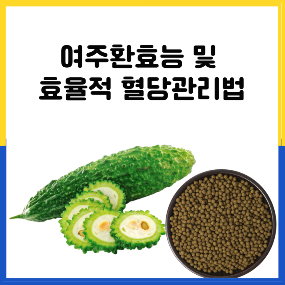 여주환효능 및