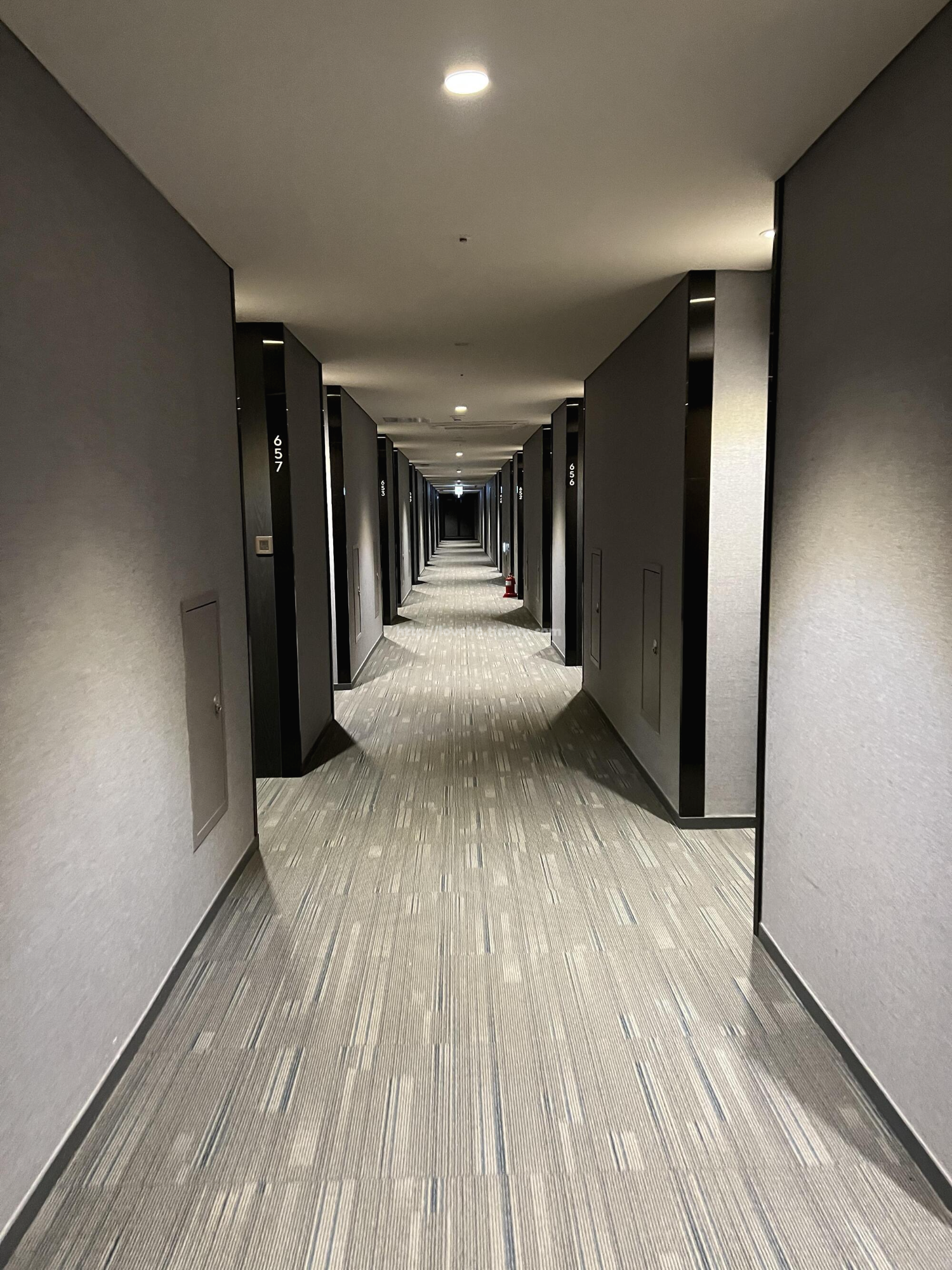 페어필드 바이 메리어트 서울 호텔-Fairfield by Marriott Seoul Hotel-영등포 호텔
잔잔한 느낌의 복도입니다
저는 6층 배정받아서 이용했습니다