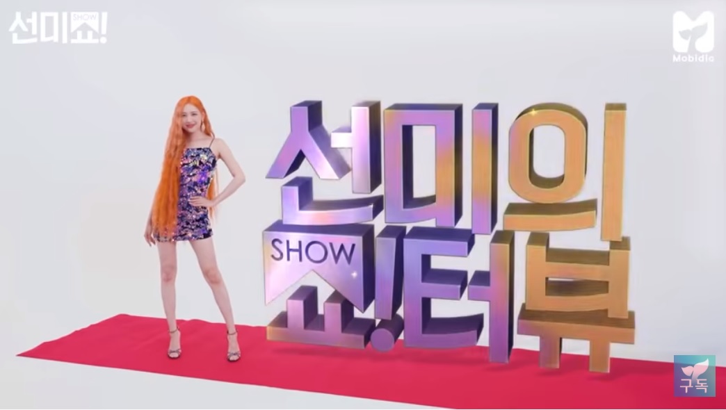  선미의 쇼터뷰 선미 "男 연예인에 대시한 적 있어" 씨스타 효린의 반응?