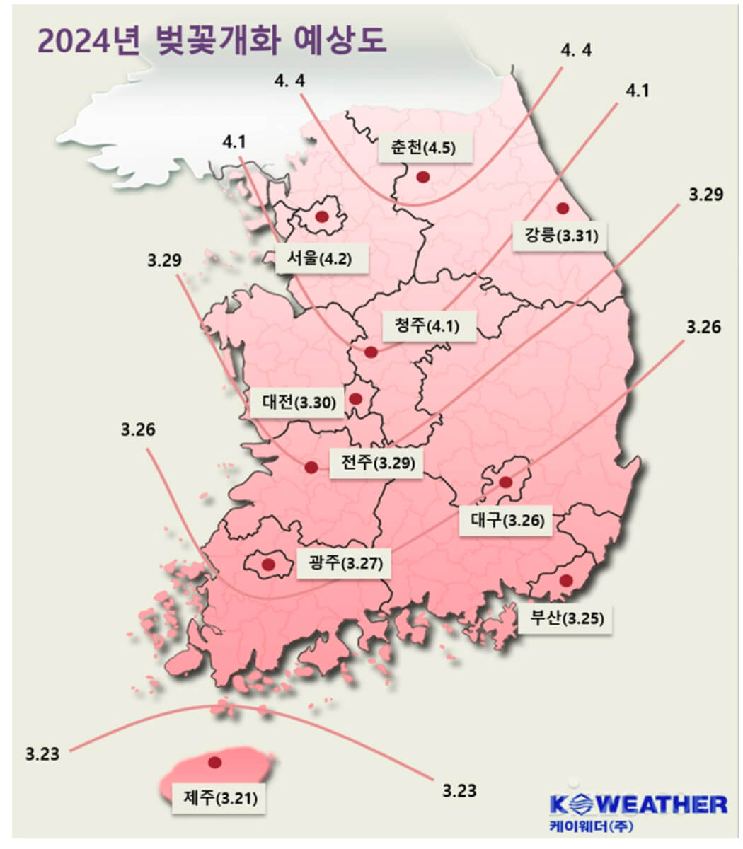 2024-벚꽃개화-예상도